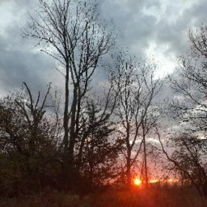 Meet your Posher, Hailey